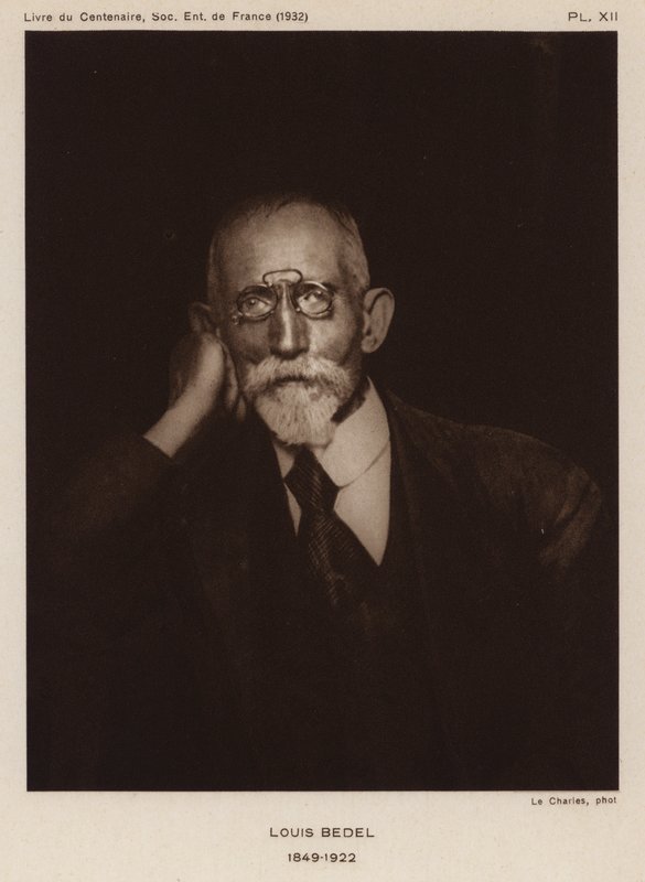 Ernest Marie Louis Bedel, fransk entomolog (s/hvitt bilde) av Photographer French