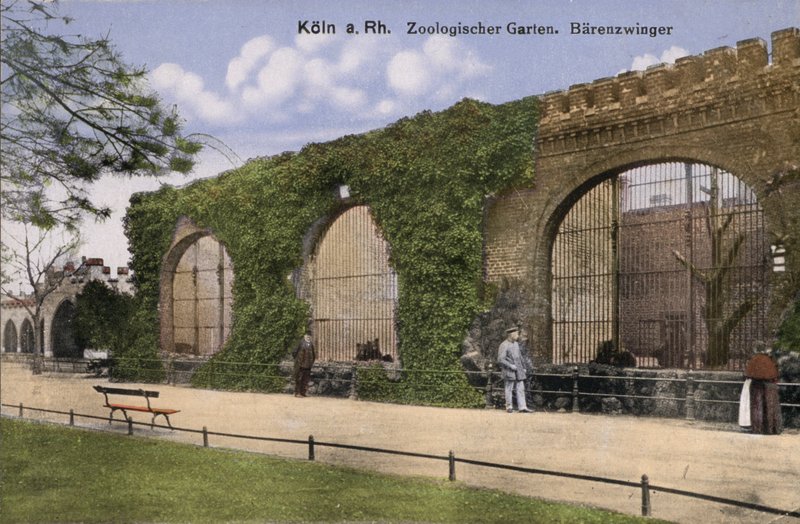 Köln Zoo, Bears (bilde) av Photographer German