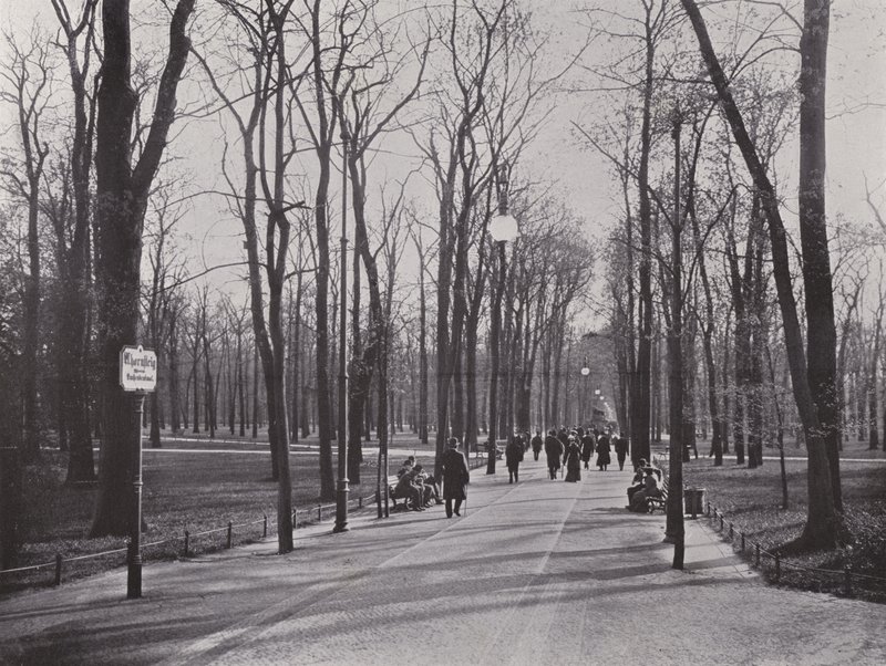 I Tiergarten, Ahornsteig (s/hvitt bilde) av Photographer German
