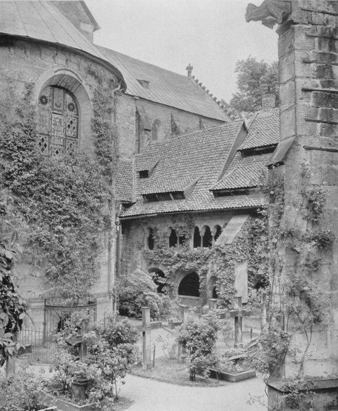 Tausendjahriger Rosenstock (s/hvitt bilde) av Photographer German
