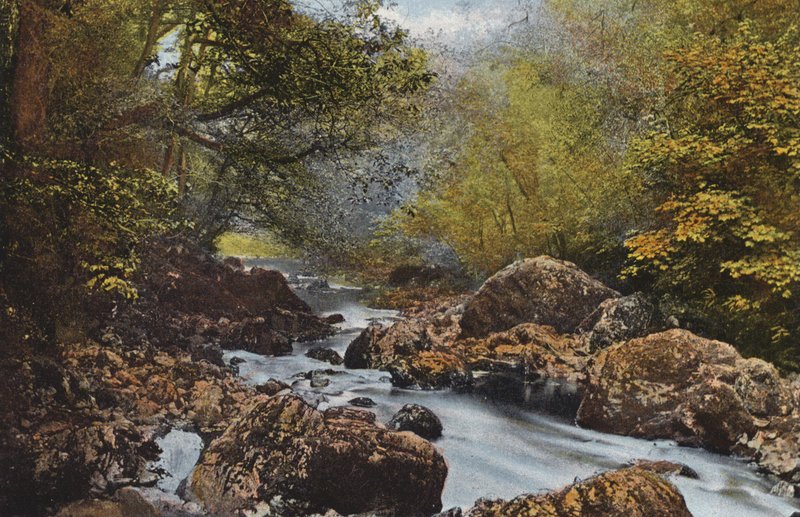 Irland: In The Dargle, County Wicklow (farget bilde) av Photographer Irish