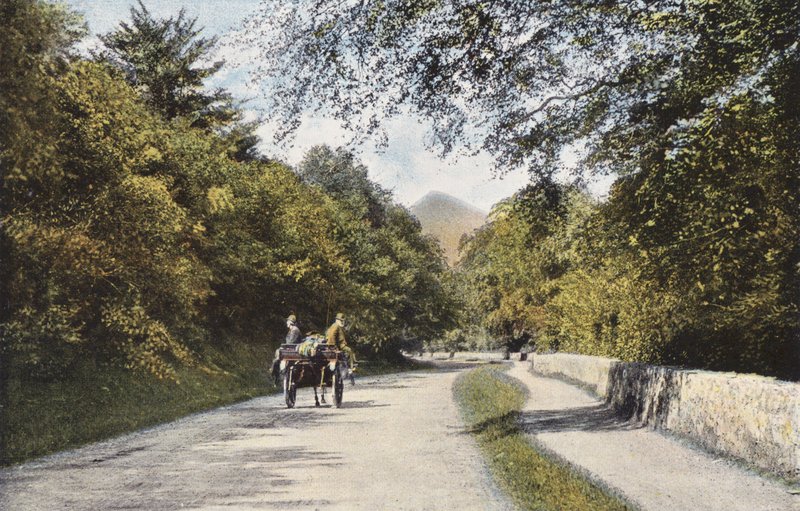 Irland: The Glen of the Downs, Sugar Loaf Mountain, County Wicklow (farget bilde) av Photographer Irish