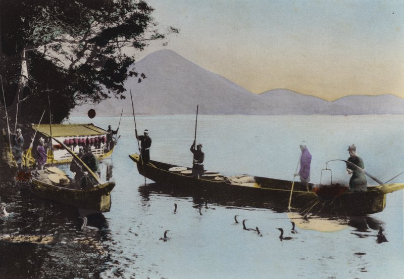 Japan, ca. 1912: Fiske med en skarv, Nagaragawa (bilde) av Photographer Japanese