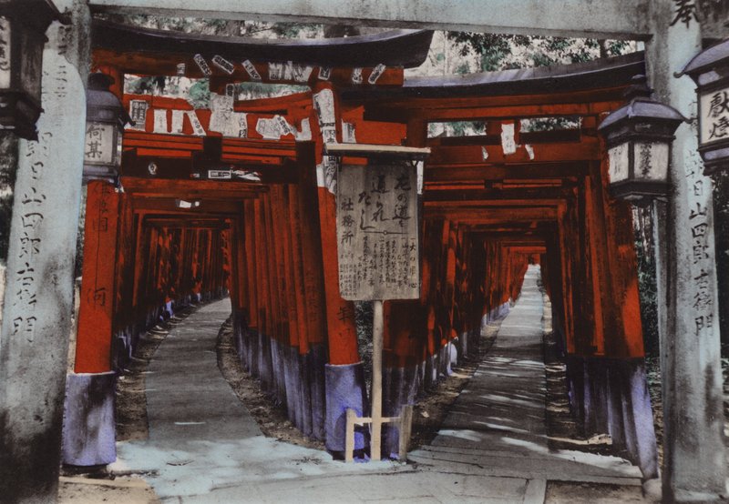 Japan, ca. 1912: Torii Avenues, Fushimi-helligdommen nær Kyoto (bilde) av Photographer Japanese