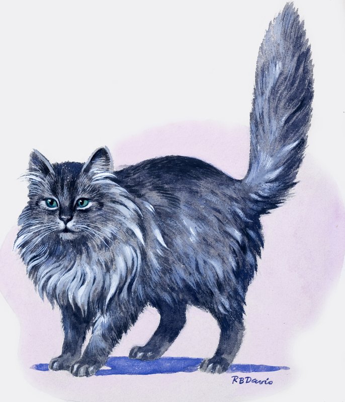 Perserkatt, fra «Skatt» av R.B. Davis