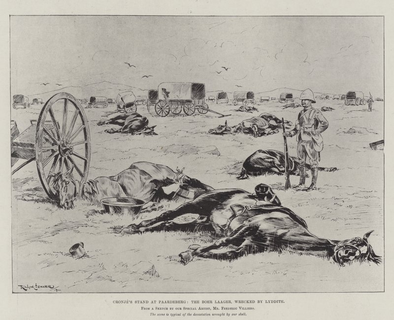 Cronjes stand ved Paardeberg, Boer Laager, vraket av Lyddite av Ralph Cleaver