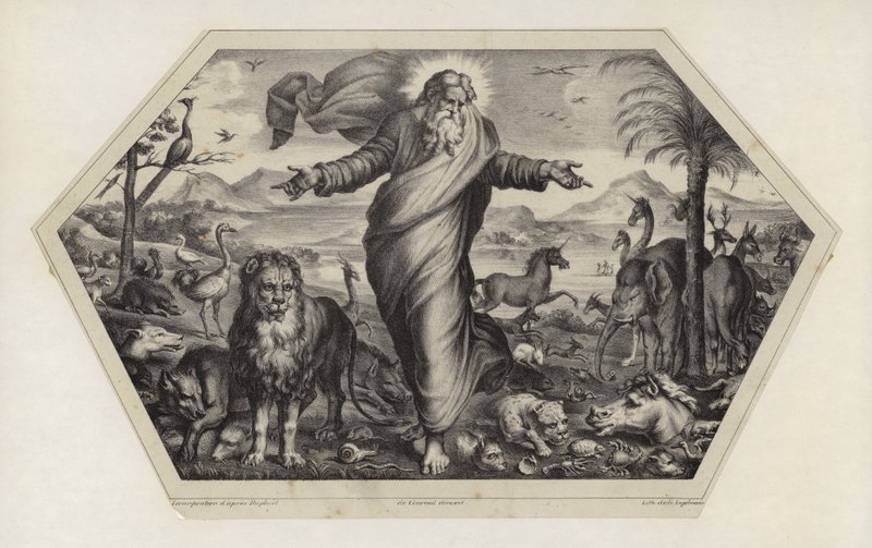 Skapelsen av dyrene av Raffaello Sanzio Raphael