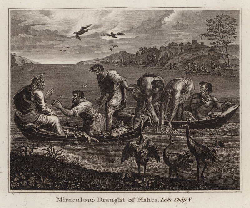 Raphael tegneserie: Miraculous Draft of Fishes, Luke, Kap V (gravering) av after Raphael