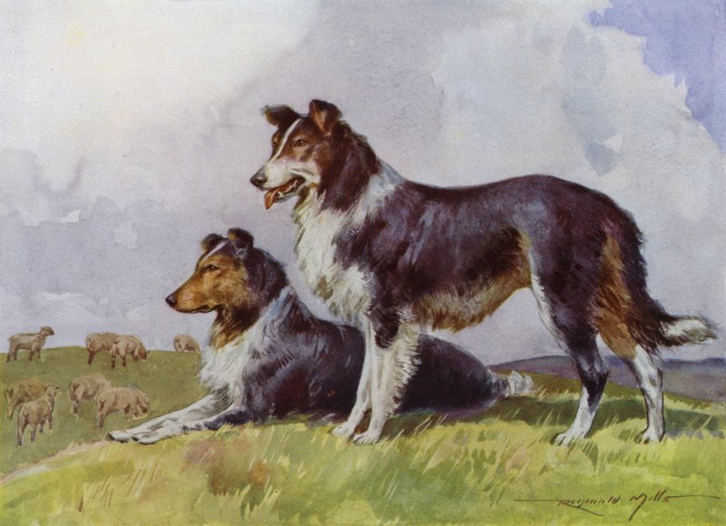 Illustrasjon for My Farm (farge litho) av Reginald Mills