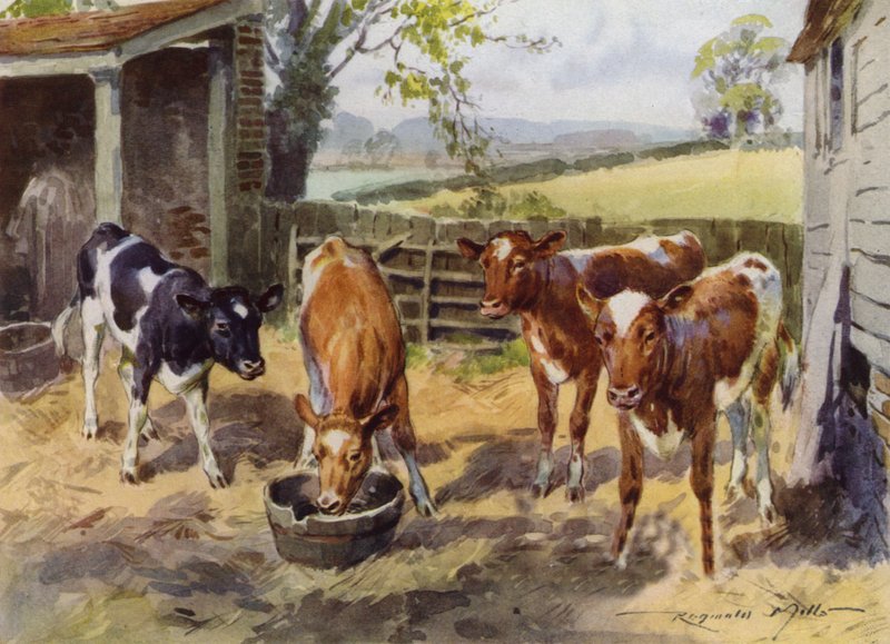 Illustrasjon for My Farm (farge litho) av Reginald Mills