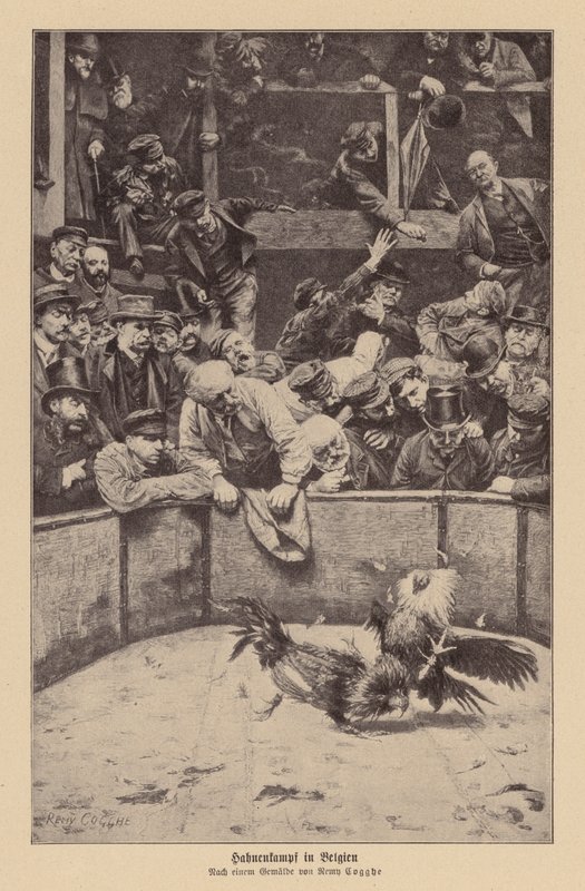  av Remy Cogghe