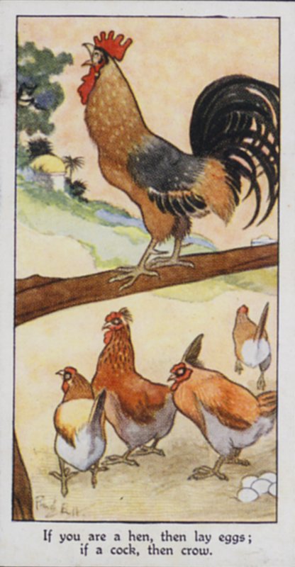 Østlig ordtak: Hvis du er en høne, så legg egg; hvis en hane, så kråke (farge litho) av René Bull