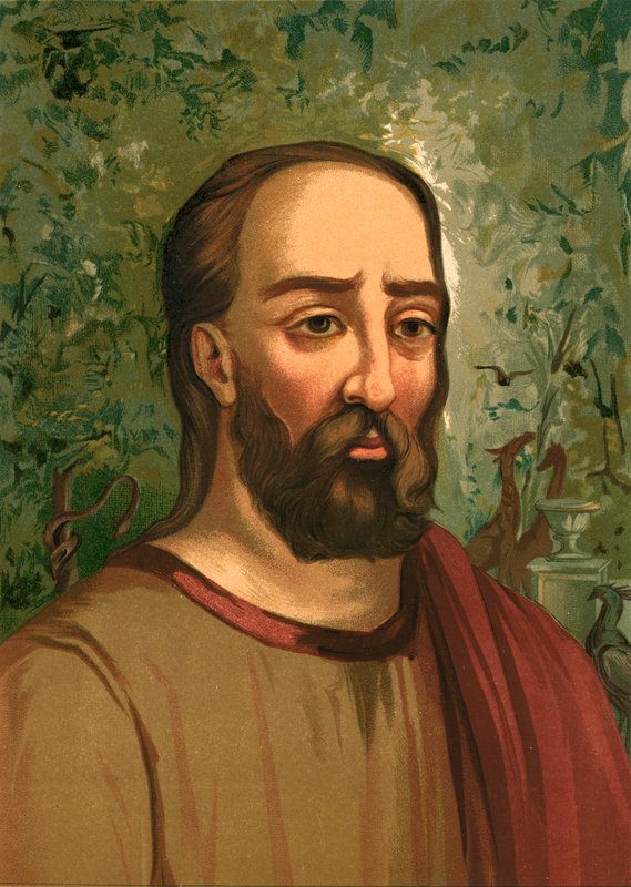 Plinius den eldste av Ricardo Marti