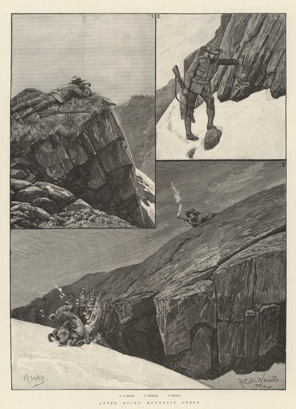 Etter Rocky Mountain Sheep av Richard Caton Woodville junior