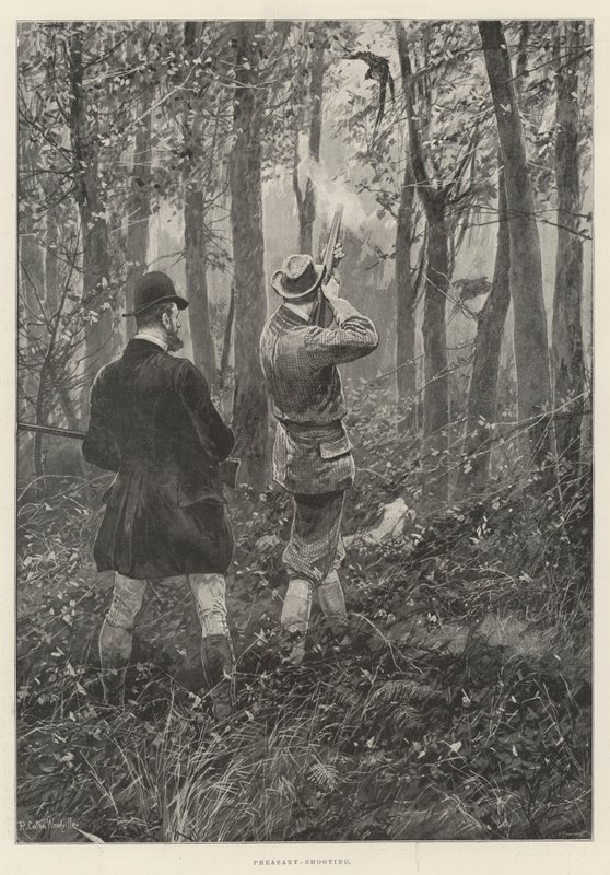 Fasan-skyting av Richard Caton Woodville junior