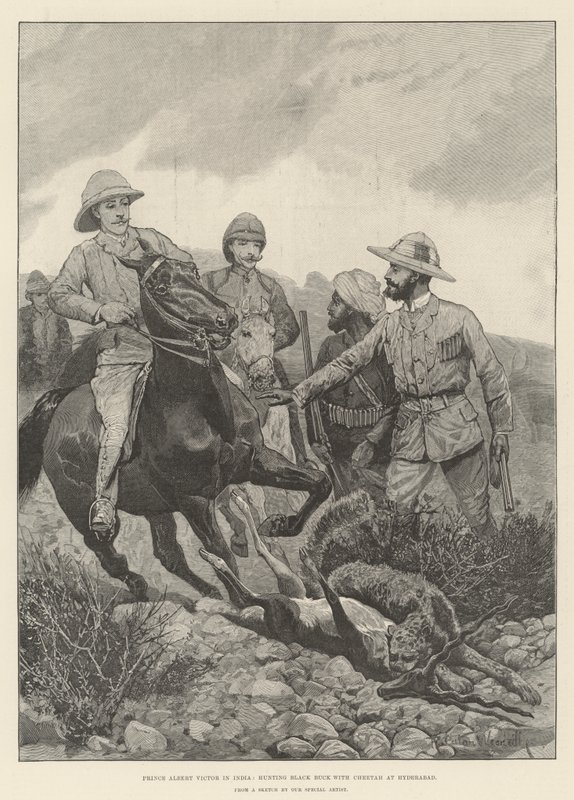 Prins Albert Victor i India, jakter på Black Buck med gepard i Hyderabad av Richard Caton Woodville junior