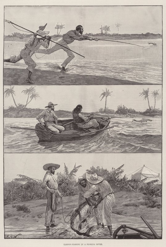 Tarpon-fiske i en Florida-elv av Richard Caton Woodville junior