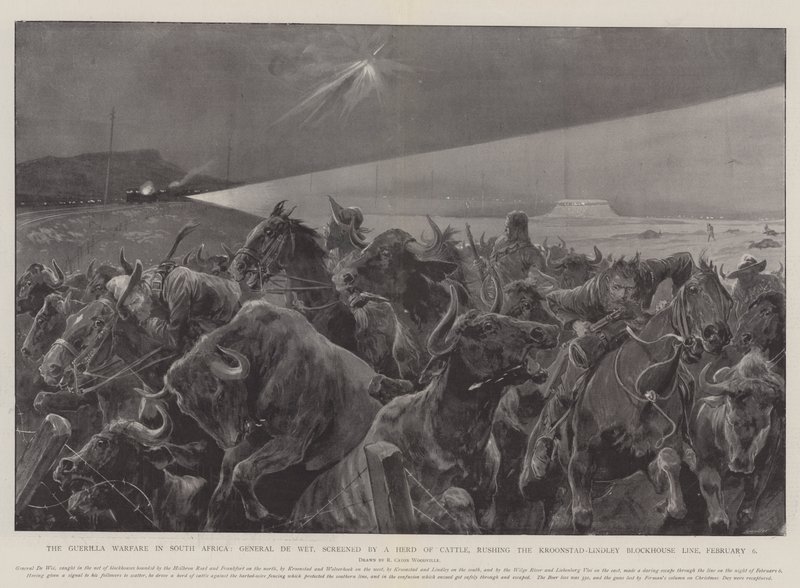 Geriljakrigføringen i Sør-Afrika, general De Wet, vist av en flokk med storfe, rushing Kroonstad-Lindley Blockhouse Line, 6. februar av Richard Caton Woodville junior