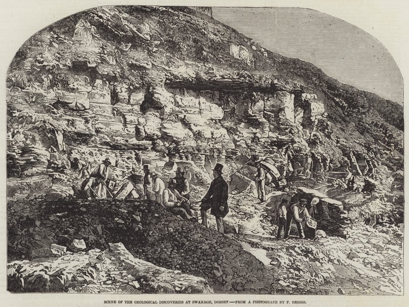 Scene for de geologiske funnene i Swanage, Dorset av Richard Principal Leitch