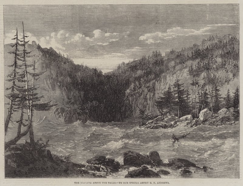 Niagara over fossen av Richard Principal Leitch