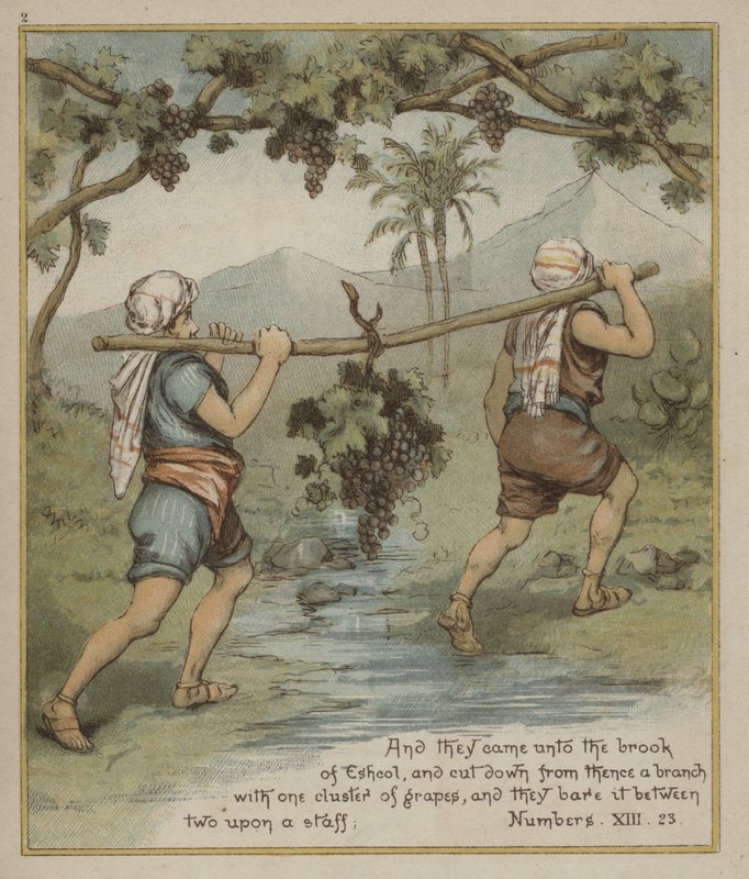 En drueklase fra Eshcol av Richard Andre