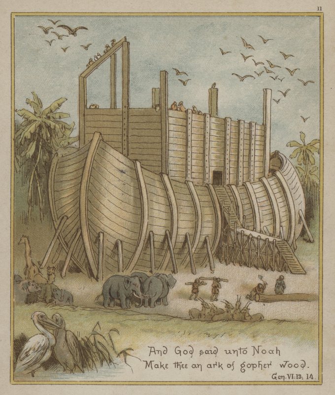 Noahs Ark av Richard Andre