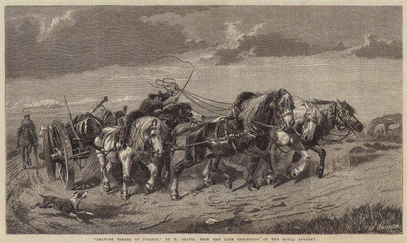 Tegning av tømmer i Picardie av Richard Beavis
