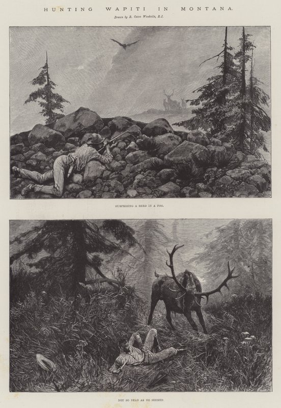 Jakt Wapiti i Montana av Richard Caton Woodville junior