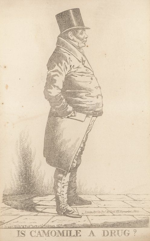 Mr Bowden; Er kamille et stoff av Richard Dighton