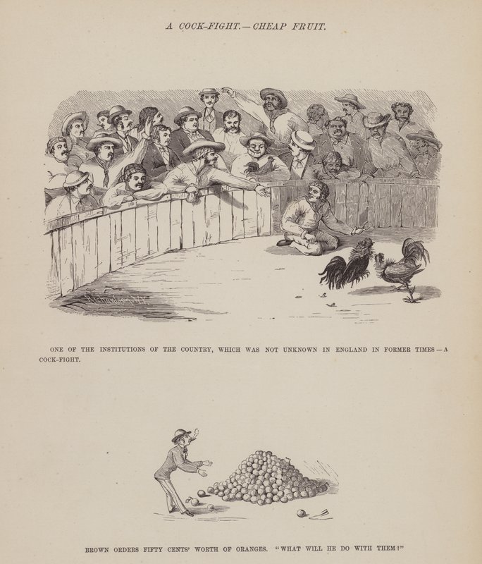 Side fra The American Tour of Mrs Brown, Jones and Robinson (gravering) av Richard Doyle