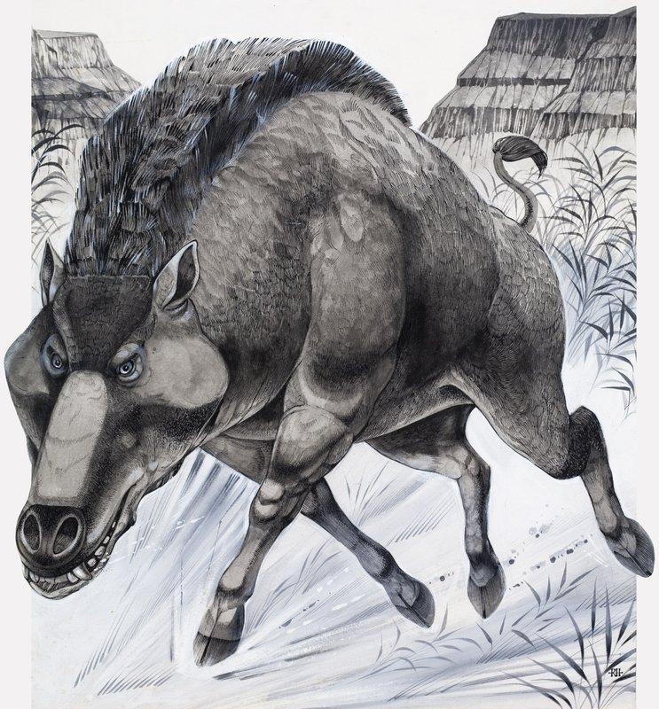 Daeodon (gouache på papir) av Richard Hook