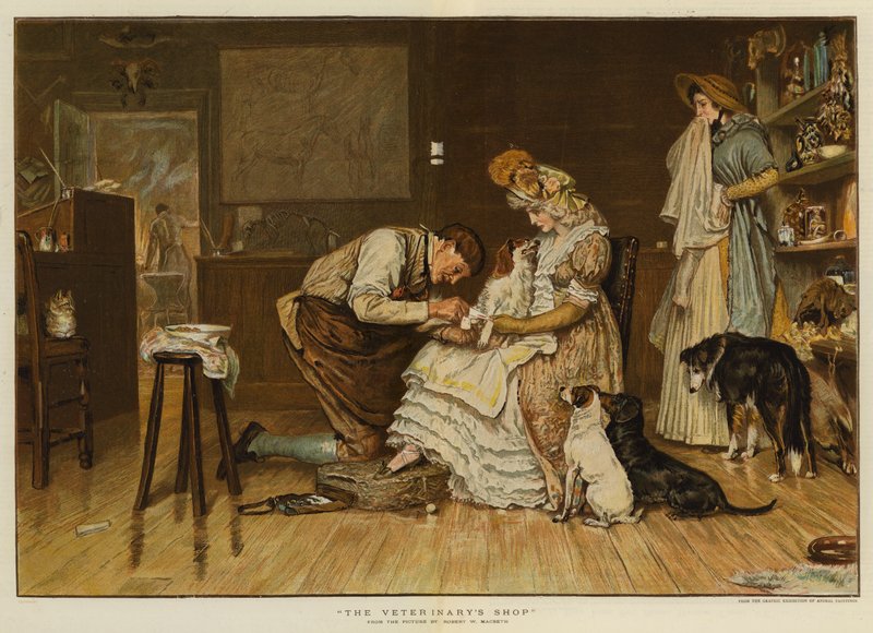 Veterinærbutikken (chromolitho) av Robert Walker Macbeth