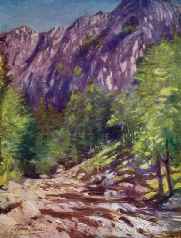 Aberglaslyn (farge litho) av Robert (after) Fowler
