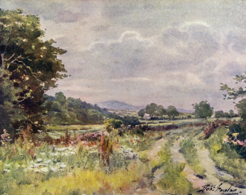 Country Lane (farge litho) av Robert (after) Fowler