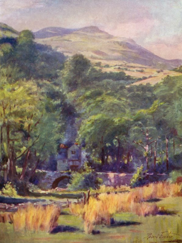 Duffws Mountain (farge litho) av Robert (after) Fowler