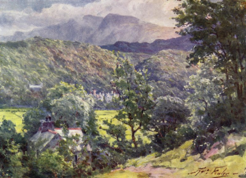In the Woods, Farchynys, Barmouth Estuary (farge litho) av Robert (after) Fowler