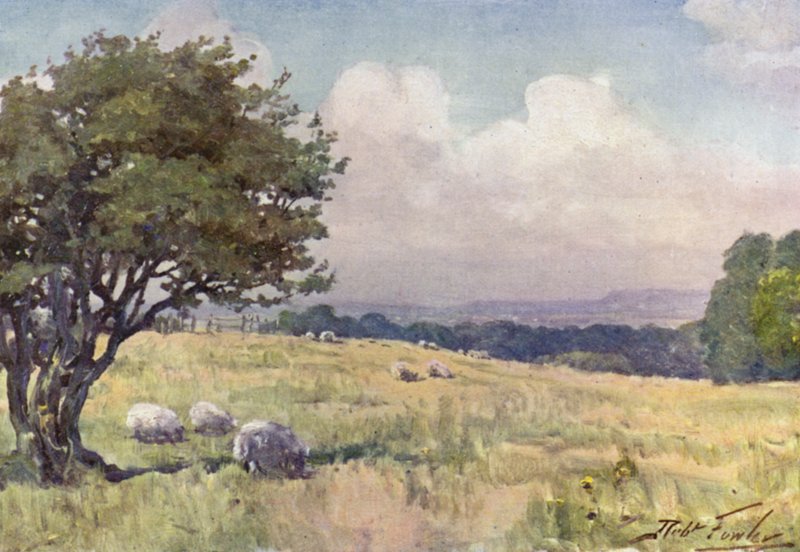 Sunny Field, nær Llanberis (farge litho) av Robert (after) Fowler