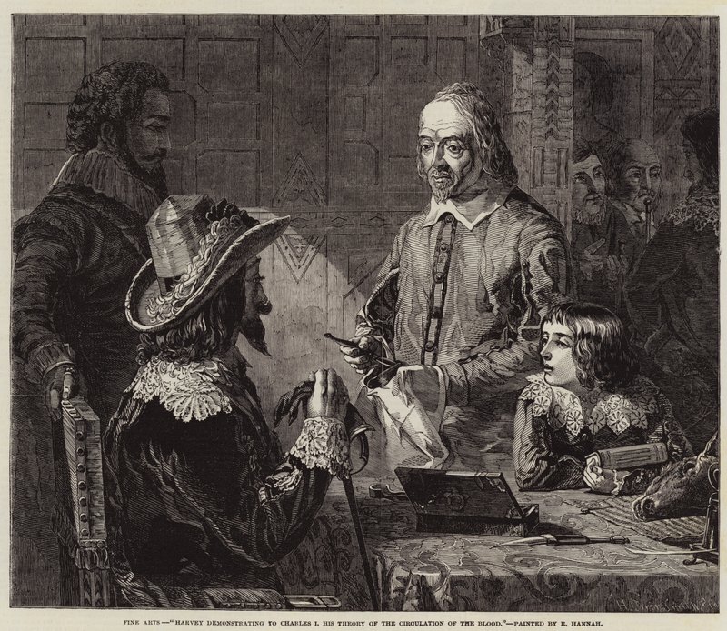 Harvey demonstrerer for Charles I sin teori om blodsirkulasjonen av Robert Hannah