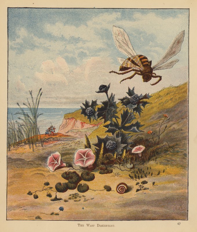 The Kitten Pilgrims: The Wasp Discontent (farge litho) av Robert Michael Ballantyne