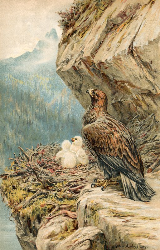 Barn av fjellet av Robert Morley