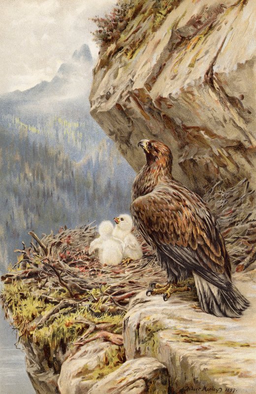 Barn av fjellet av Robert Morley