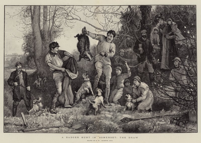 En grevlingjakt i Somerset, uavgjort av Robert Walker Macbeth