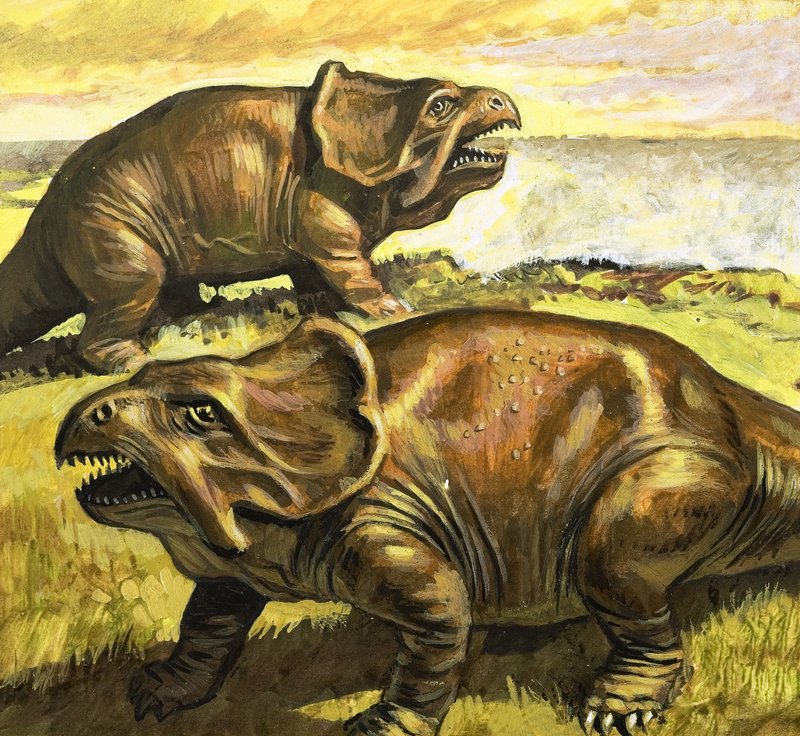 Protoceratops, illustrasjon fra «I dinosaurenes dager, oppdagelse i ørkenen» av Roger Payne
