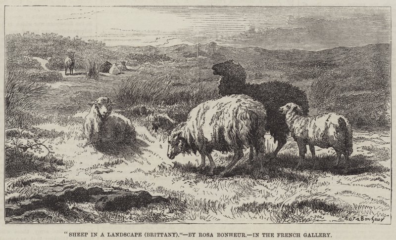 Sauer i et landskap, Bretagne av Rosa Bonheur