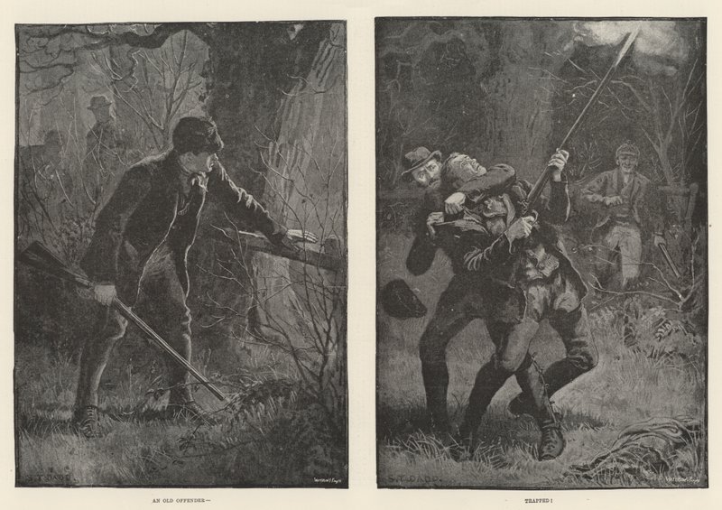 En gammel lovbryter, fanget av S.T. Dadd