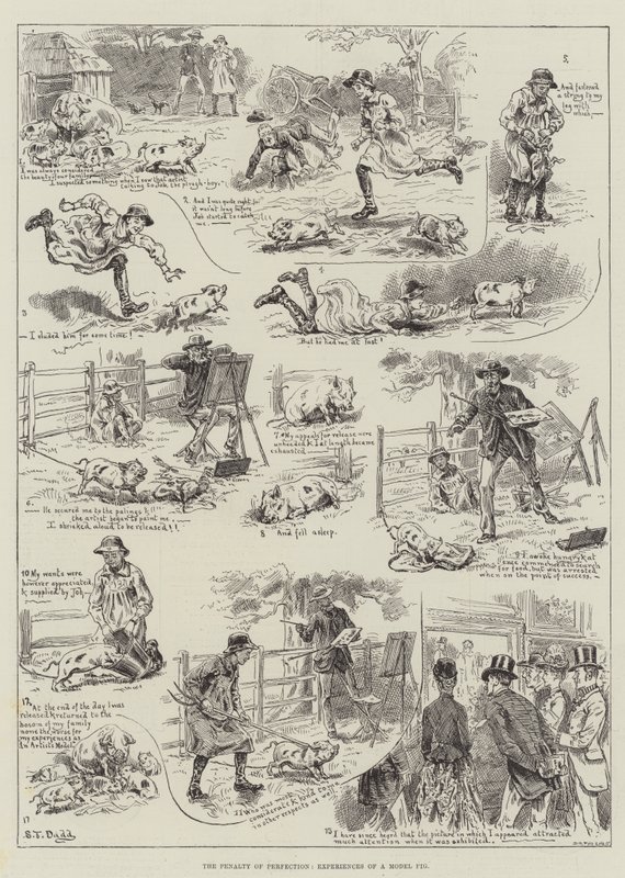 The Penalty of Perfection, Experiences of a Model Pig av S.T. Dadd