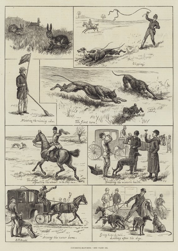 Coursing-kamper (gravering) av S.T. (after) Dadd