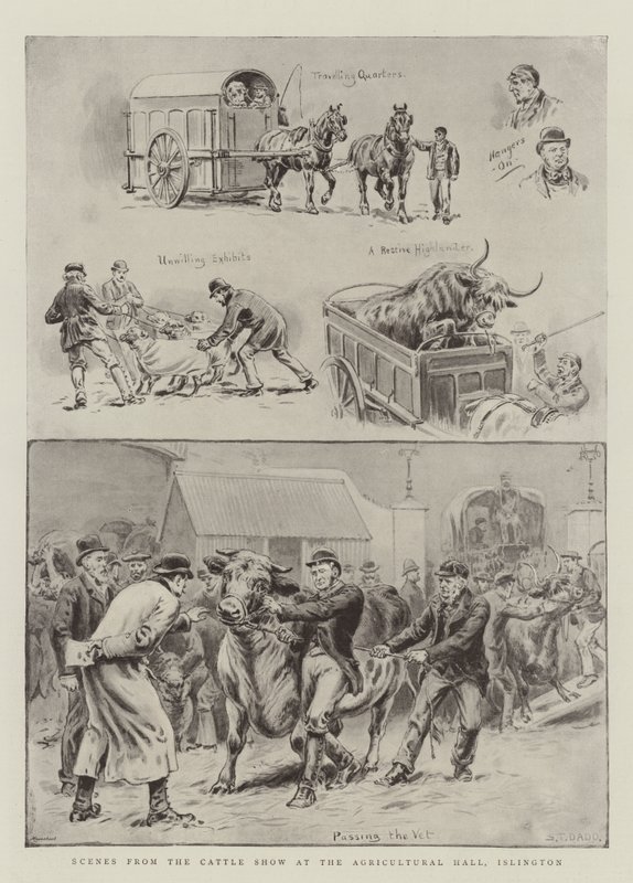 Scener fra Cattle Show i Agricultural Hall, Islington av S.T. Dadd