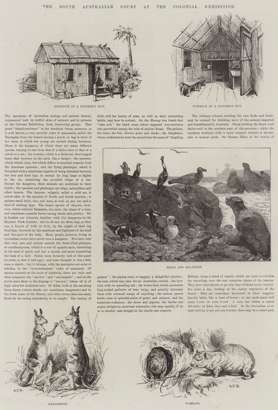 The South Australian Court på Colonial Exhibition av S.T. Dadd