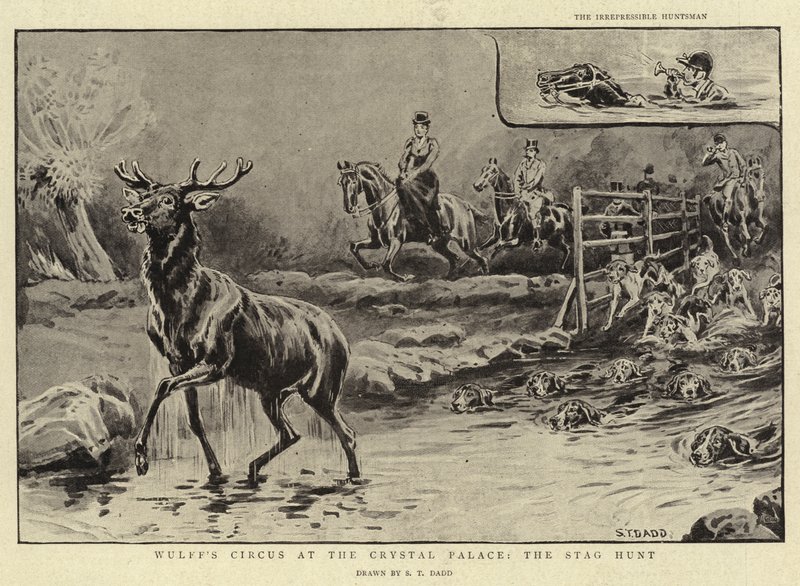 Wulffs sirkus på Crystal Palace, Stag Hunt av S.T. Dadd
